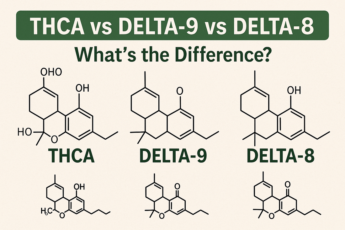 THCA vs Delta-9 vs Delta-8 – What’s the Difference?