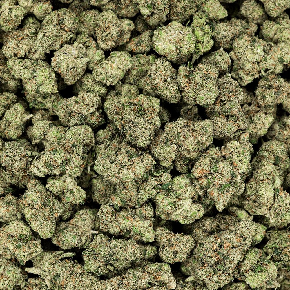 Pink Guava (H) - Revelry - 3.5g (23.88%)