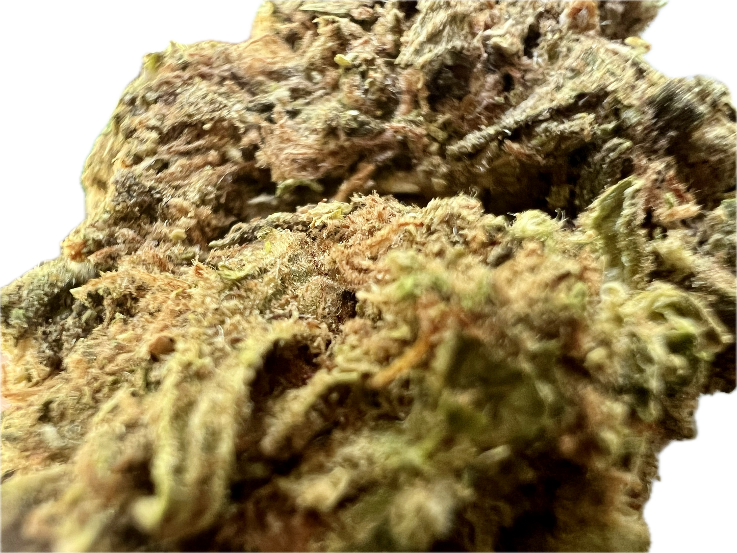 Runtz OG (H) - Ripkitty (22%)