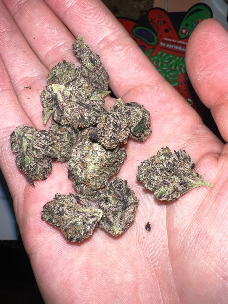 Candy Gas Exotics - Big High - 3.5g (25.42%)