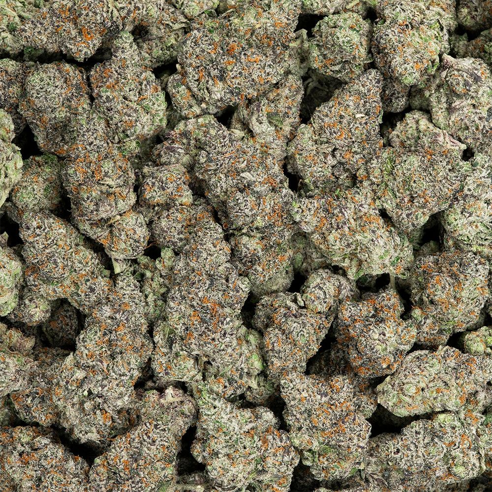 Cherry Sunrise (S) - Revelry - 3.5g (24.33%)