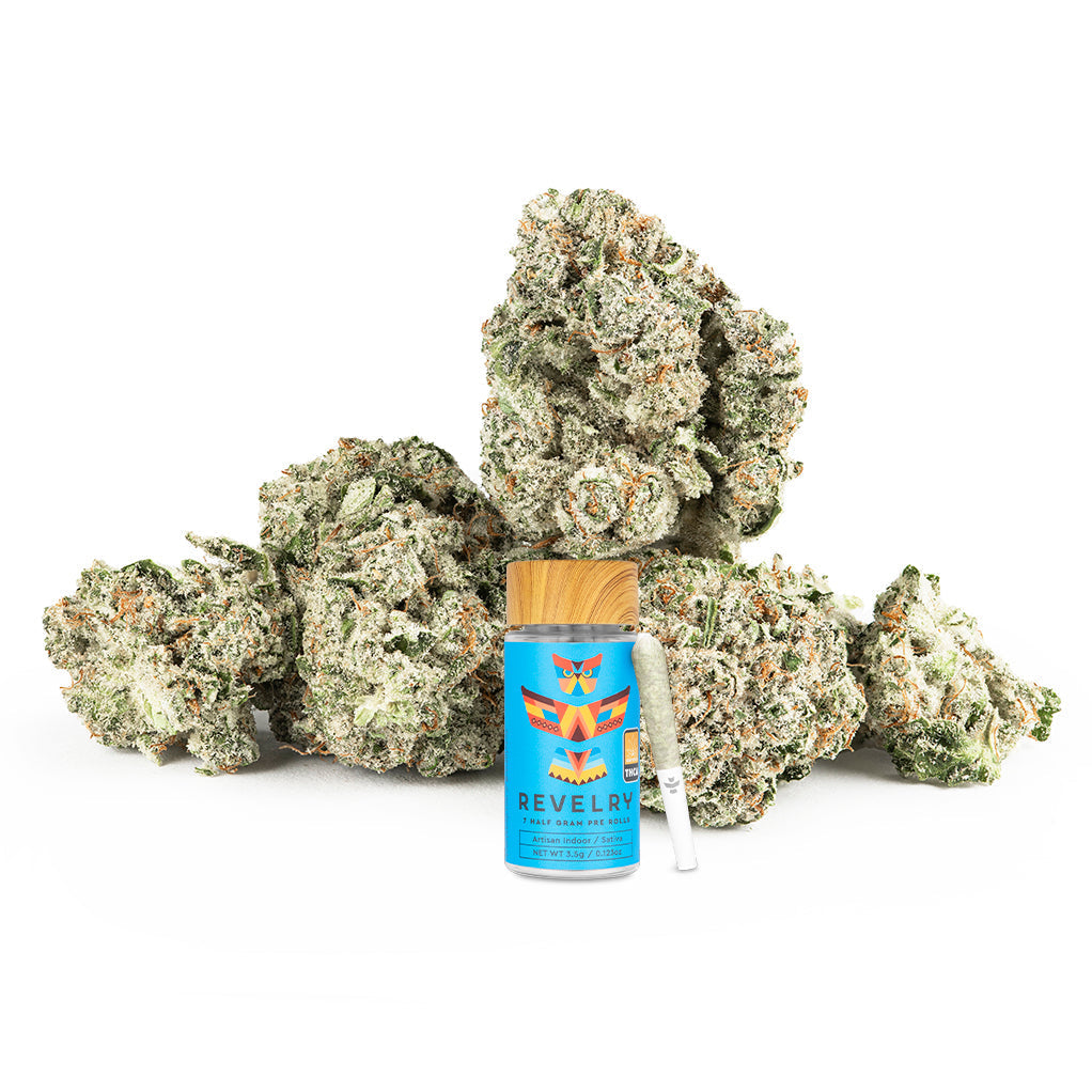 Blue Dream | 7 Pack | Revelry (23.32%)