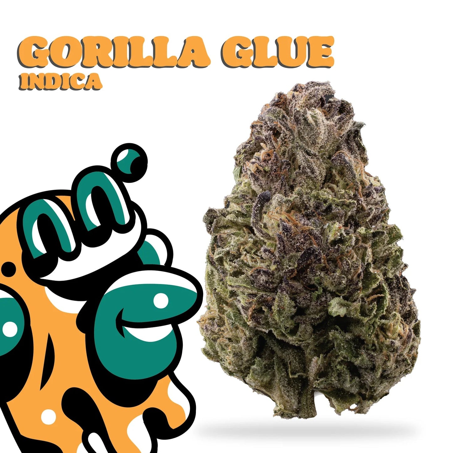 Gorilla Glue (H) - Big High Flower - 3.5g (23.77%)