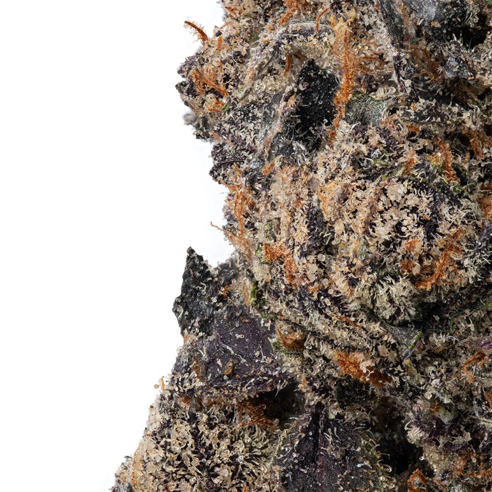 King Louis XIII (I) - WNC CBD - 3.5g (22 - 25%)