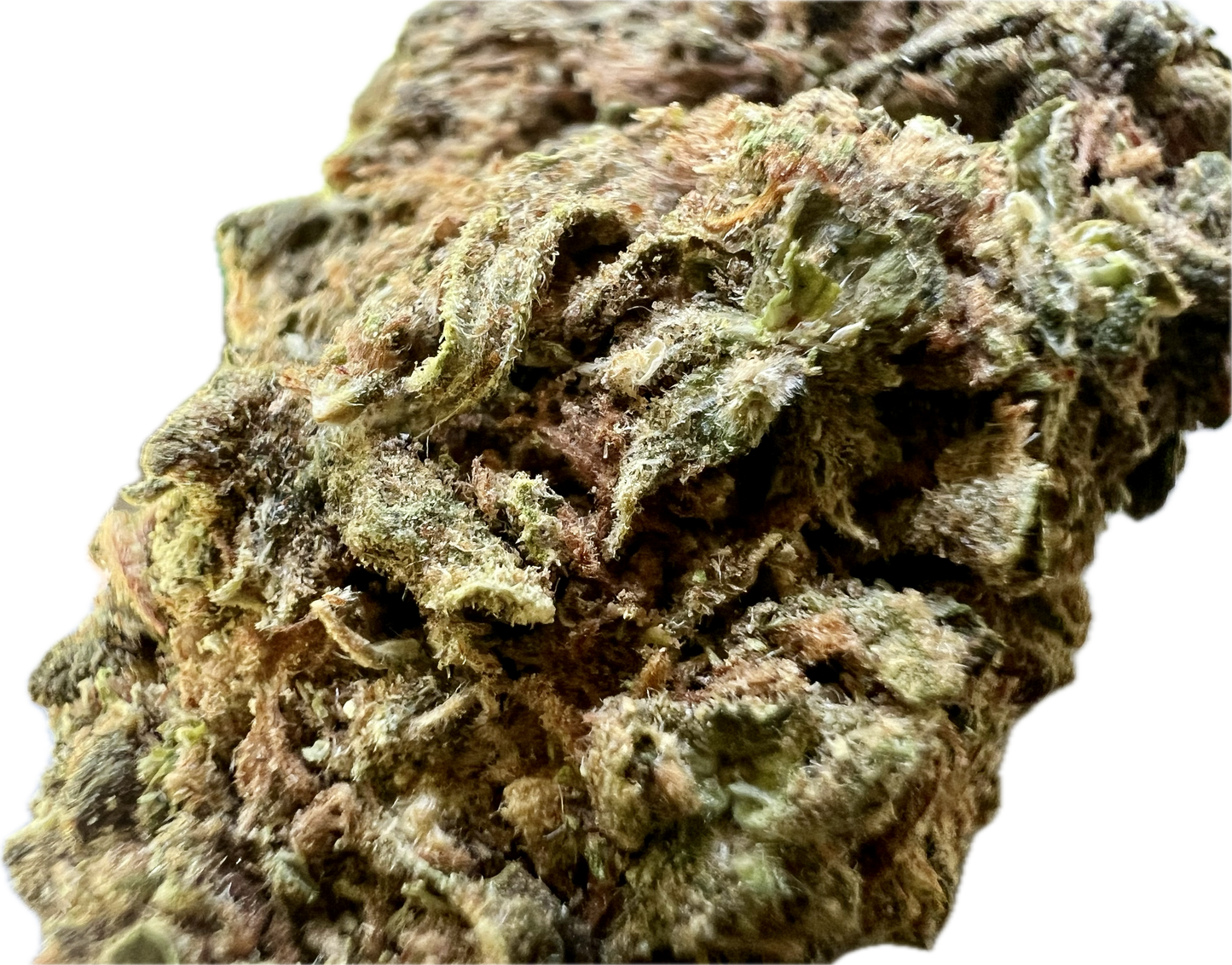 Runtz OG (H) - Ripkitty (22%)