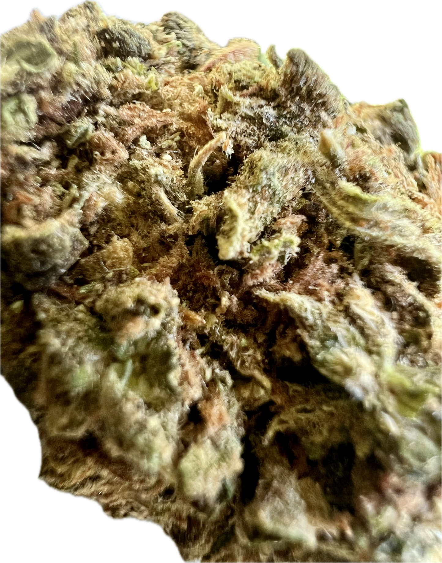 Runtz OG (H) - Ripkitty (22%)