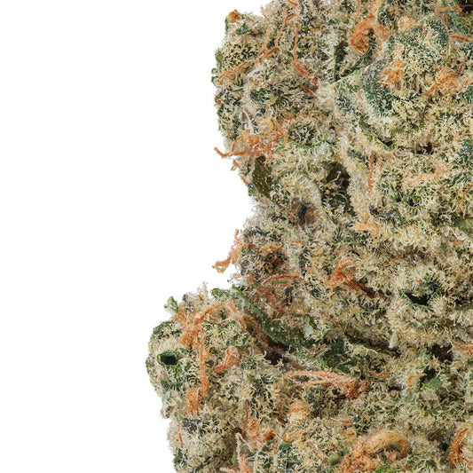 Blue Dream (H) - WNC CBD - 3.5g (26 - 29%)