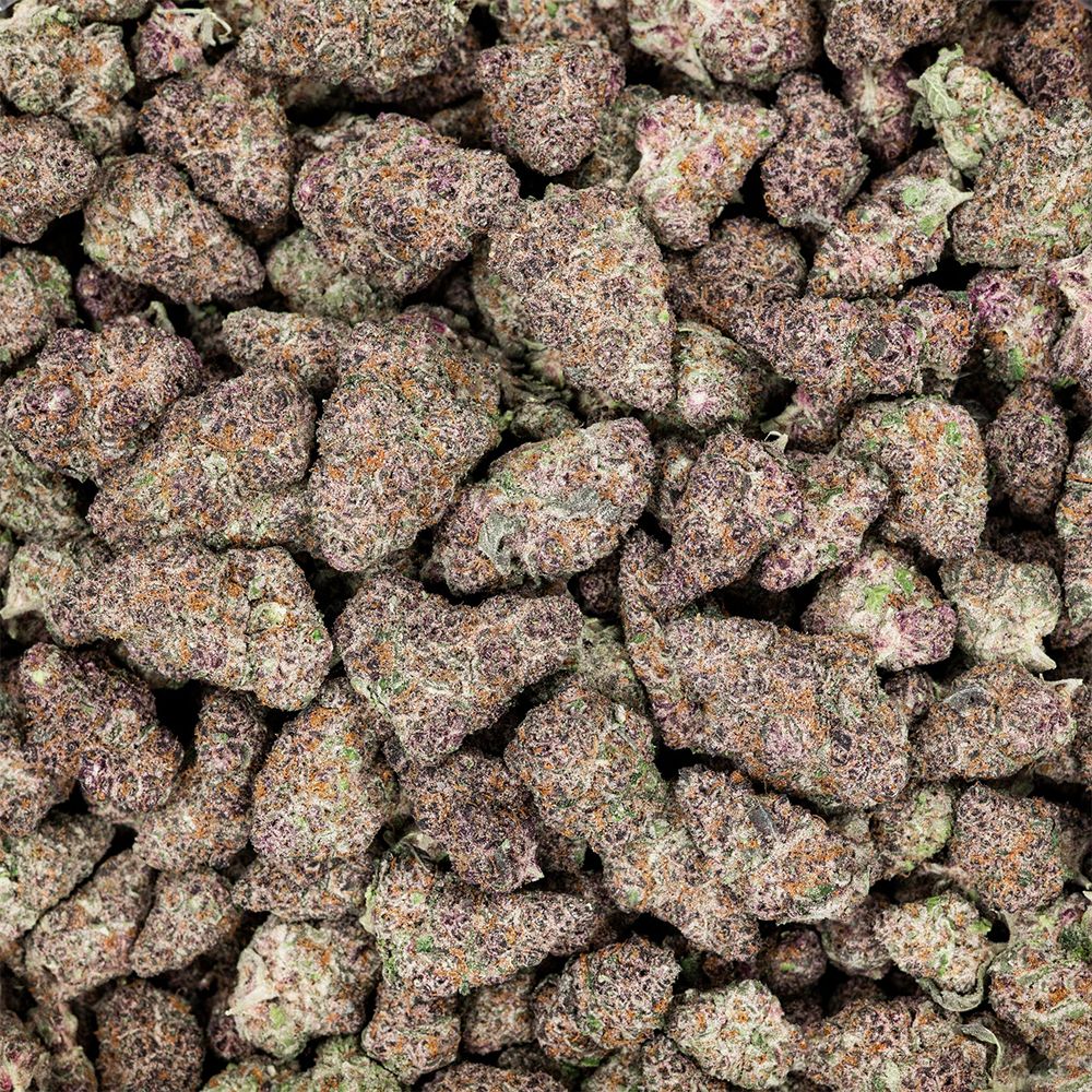 Pink Guava (H) - Revelry - 3.5g (23.88%)