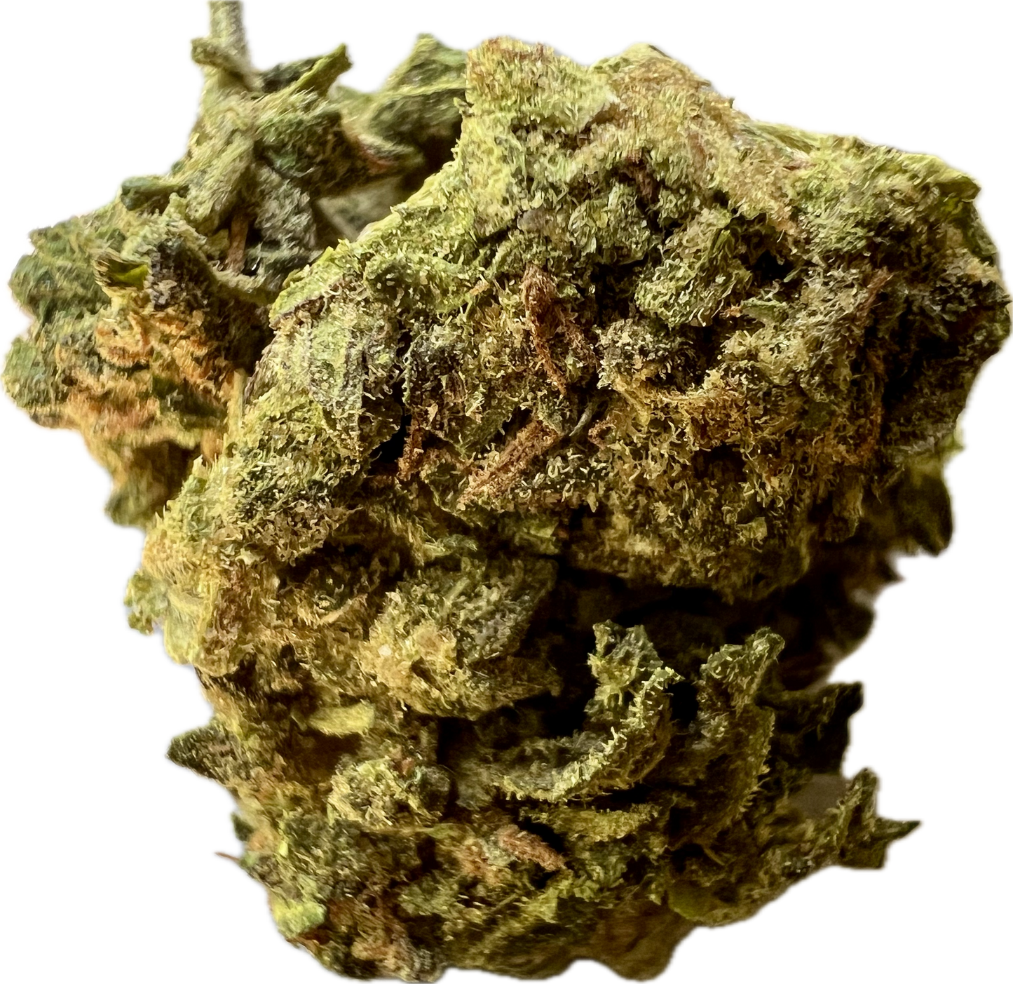 Mendo Breath (I) - Ripkitty (23.5%)